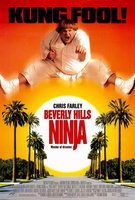 Beverly Hills Ninja Quotes