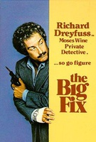 The Big Fix Quotes