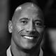 The Rock Quotes